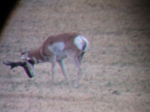 IMG_0979.jpg IMG_0979.jpg