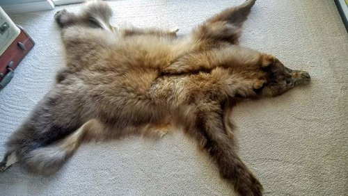 20160914_163731.jpg 20160914_163731.jpg