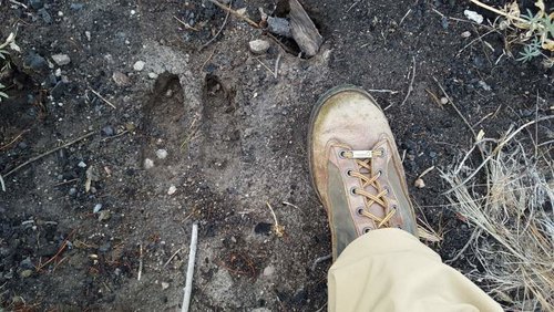 20160917_075457.jpg 20160917_075457.jpg
