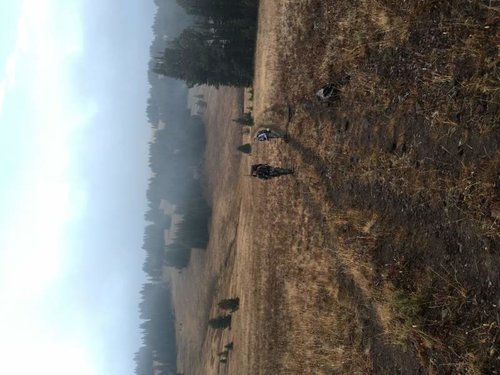 IMG_0386.jpg IMG_0386.jpg