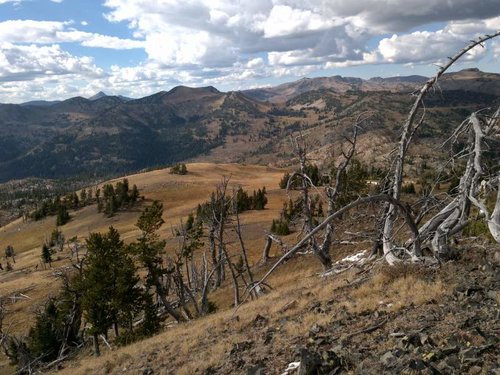 DSC01388.jpg DSC01388.jpg