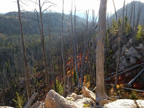 DSC01389.jpg DSC01389.jpg