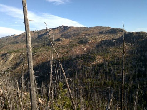 DSC01390.jpg DSC01390.jpg