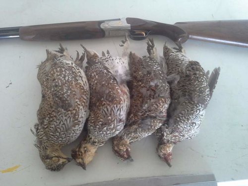 20160918_113208 (1).jpg