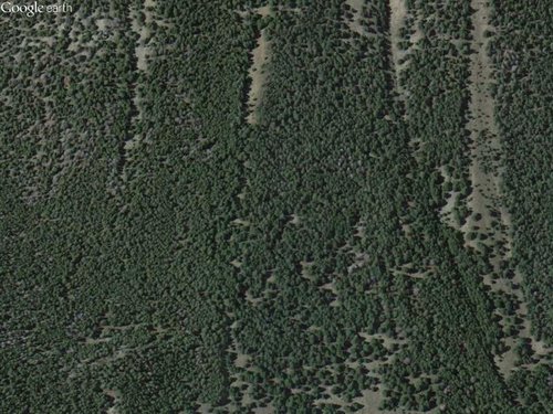 timber.jpg timber.jpg