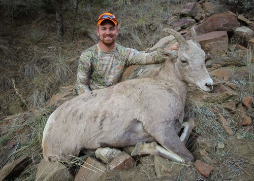 Montana Sheep Hunt-6.jpg Montana Sheep Hunt-6.jpg