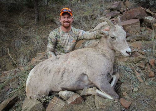 Montana Sheep Hunt-6.jpg