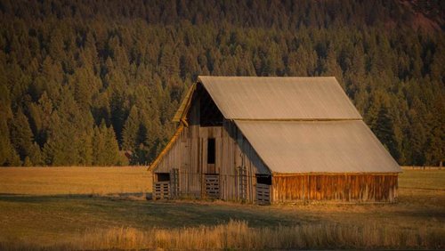 Montana Sheep Hunt-1.jpg Montana Sheep Hunt-1.jpg