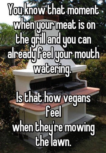 IMG_3708.JPG IMG_3708.JPG