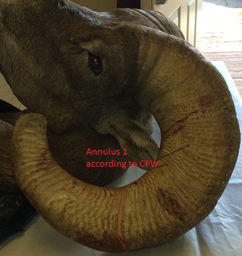 Annulus.jpg