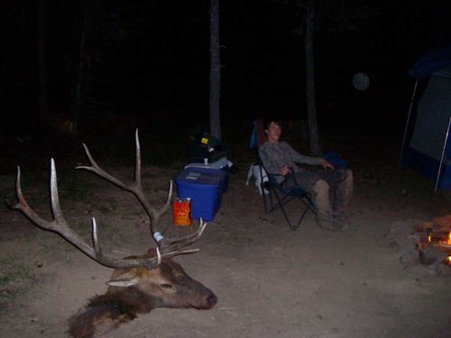 2009 BULL !! 049.jpg 2009 BULL !! 049.jpg