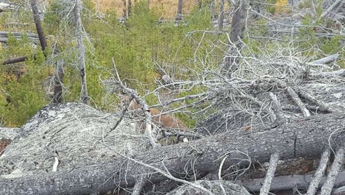 20160927_185555.jpg 20160927_185555.jpg