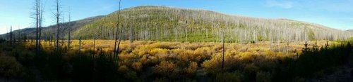 20160926_085037.jpg 20160926_085037.jpg