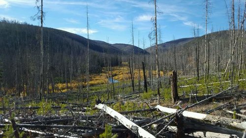 20160926_165648.jpg 20160926_165648.jpg
