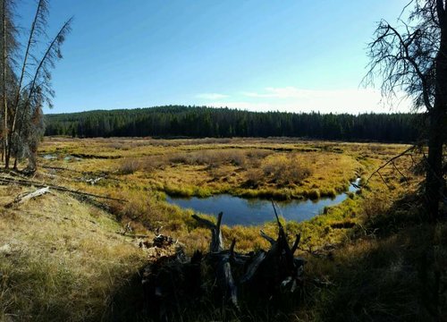 20160930_102329.jpg 20160930_102329.jpg