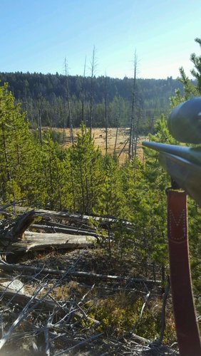20160928_090733.jpg 20160928_090733.jpg