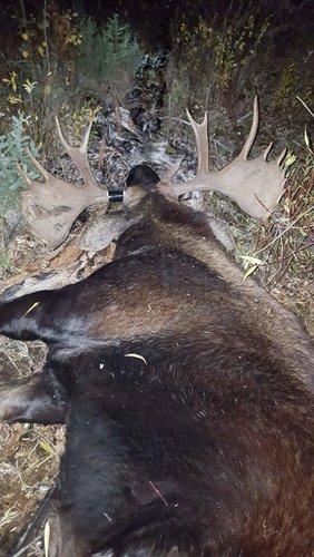 20161001_201947.jpg 20161001_201947.jpg
