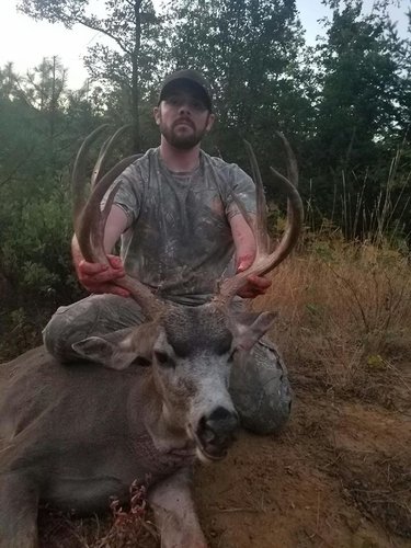 CA Deer 7.jpg CA Deer 7.jpg