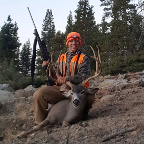 CA Deer 6.jpg CA Deer 6.jpg