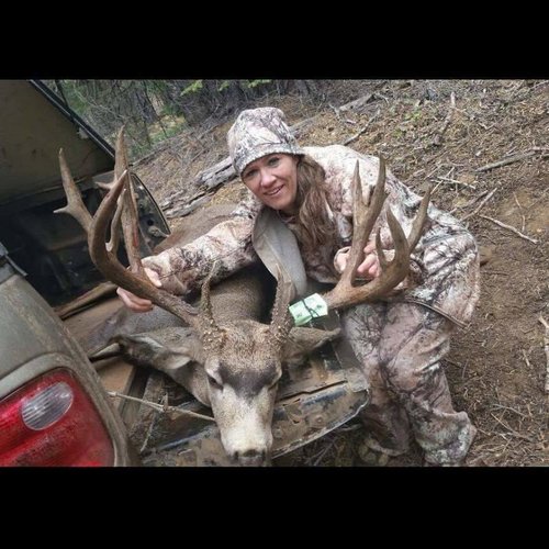 CA Deer 4.jpg CA Deer 4.jpg
