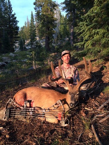CA Deer 3.jpg CA Deer 3.jpg
