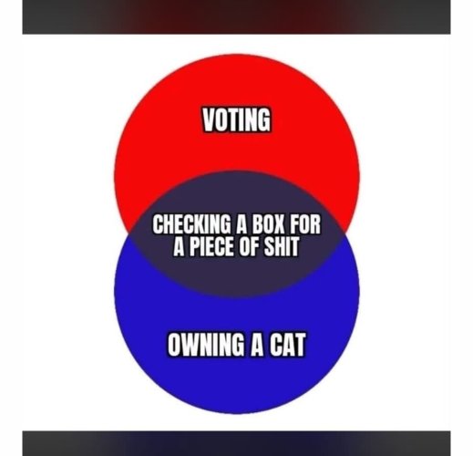 1000006506.jpg 1000006506.jpg