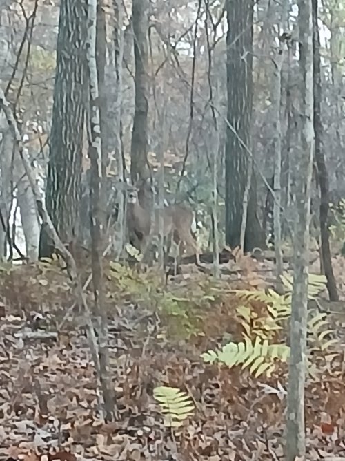 20261022_180017.jpg 20261022_180017.jpg