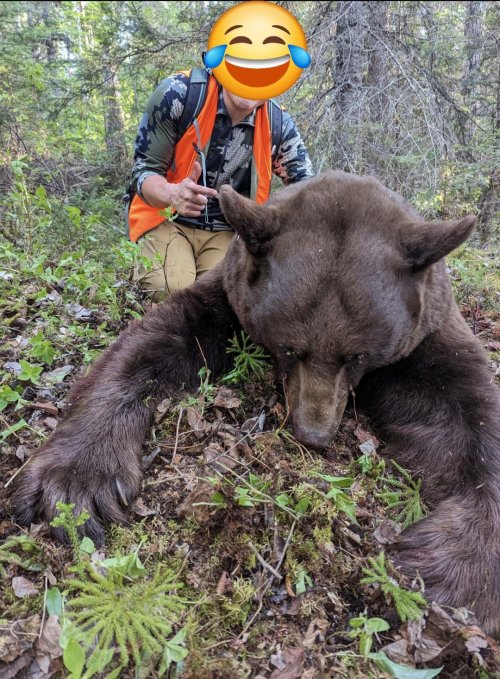 Bear1.jpg