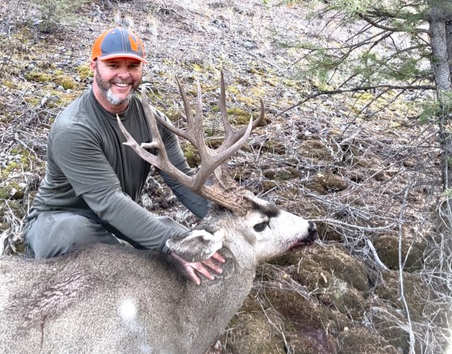 2026 ID Mule Deer.jpg