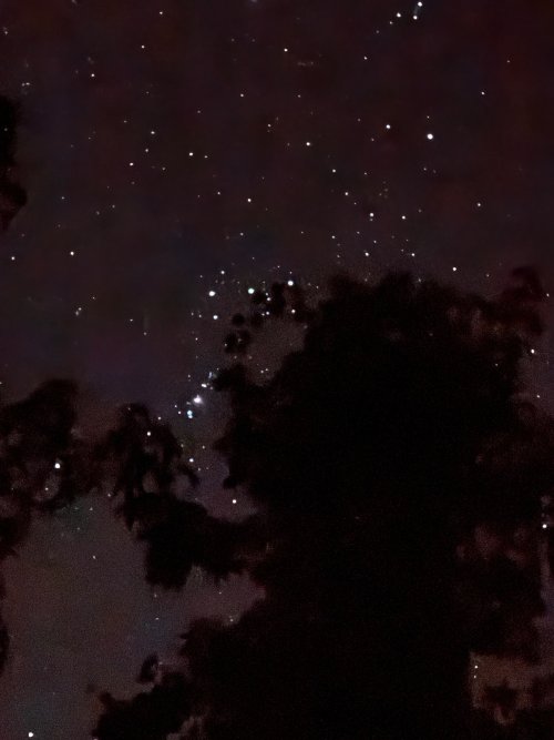 IMG_8775.jpeg