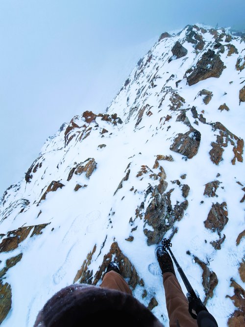 LookingDown3.jpg