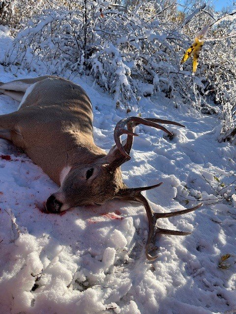 2026Buck1.jpg
