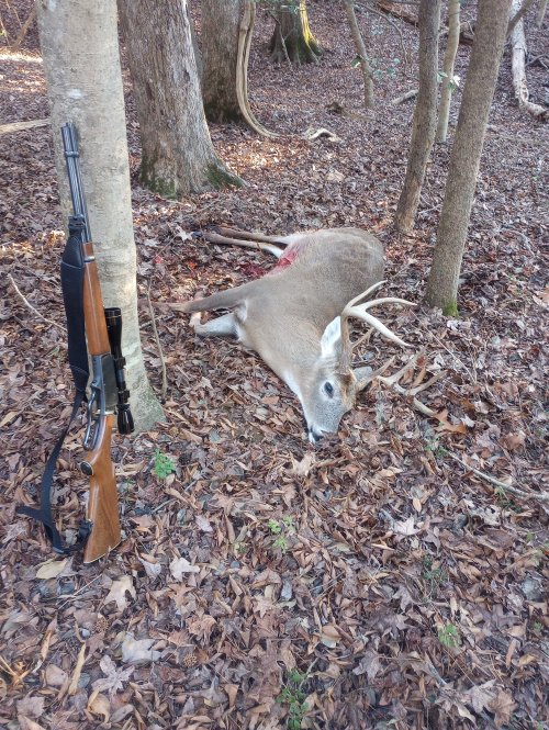 35 buck 2 MO.jpg