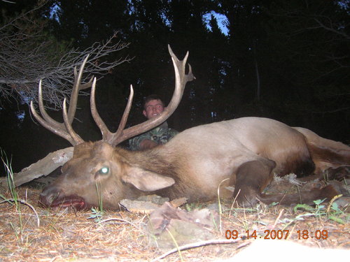 Matts 2007 CO Bull.jpg