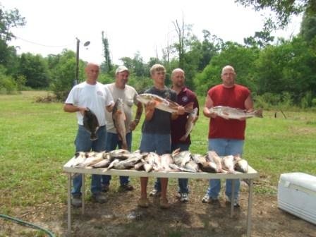 bowfish.jpg