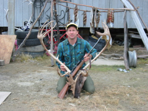 Caribou bull 04.JPG