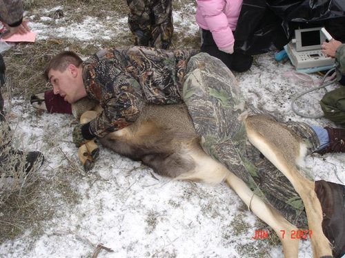 deertests.jpg