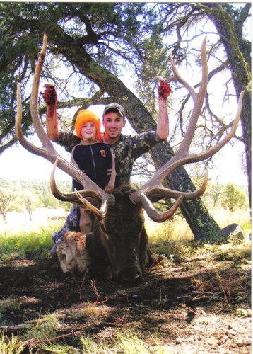 2006 elk 3.jpg