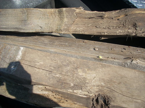 DSCN0534.JPG