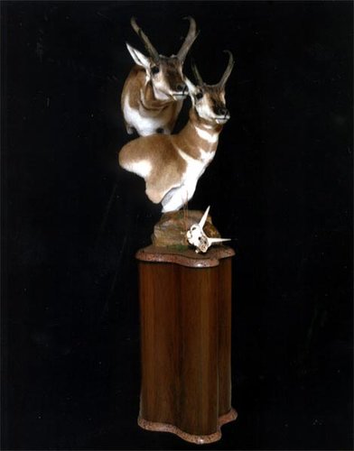 Antelope-Pedistal-Mount.jpg