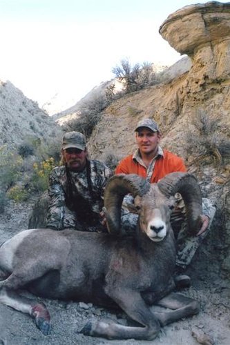 18-bighorn_3.jpg