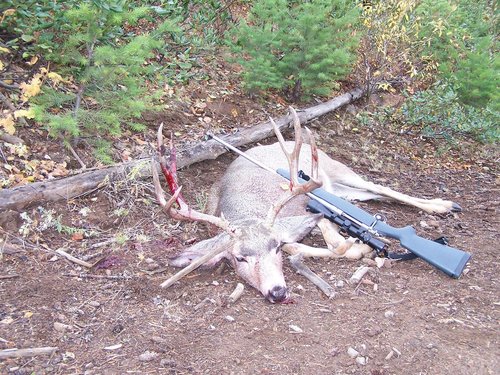 Idaho  2008 Buck.jpg