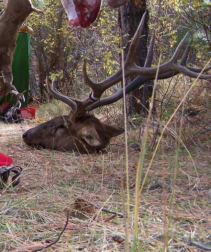 Idaho Hunting 2008 061.JPG