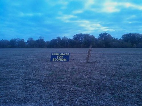 corn_maze.jpg