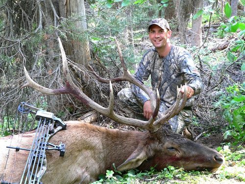 2008_0830_Elk_Corey_Idaho2_small.JPG