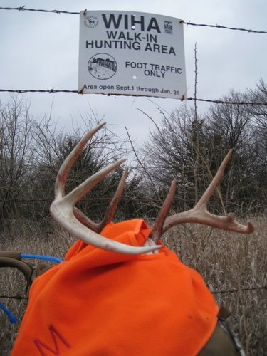 IMG_3369.JPG IMG_3369.JPG