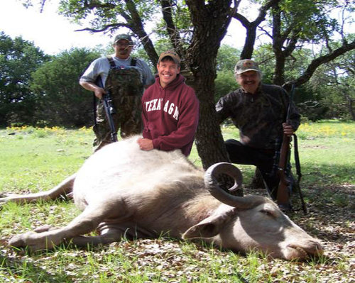 CowHunt.jpg