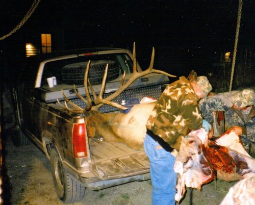 truckbull.jpg