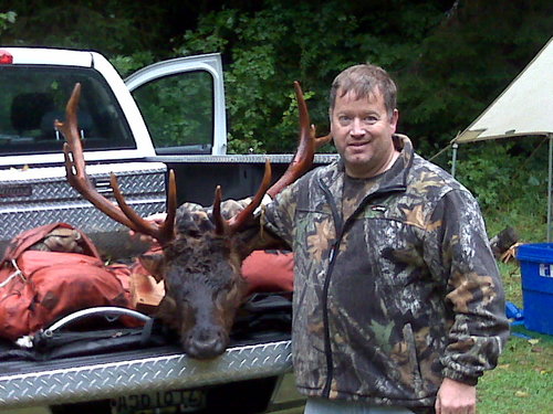 MATHENY BULL 1.jpg