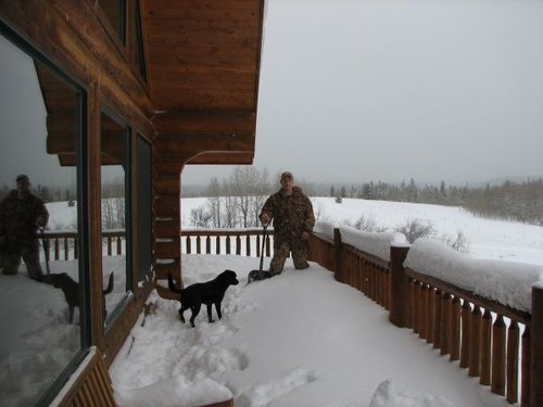 Snow deck.jpg